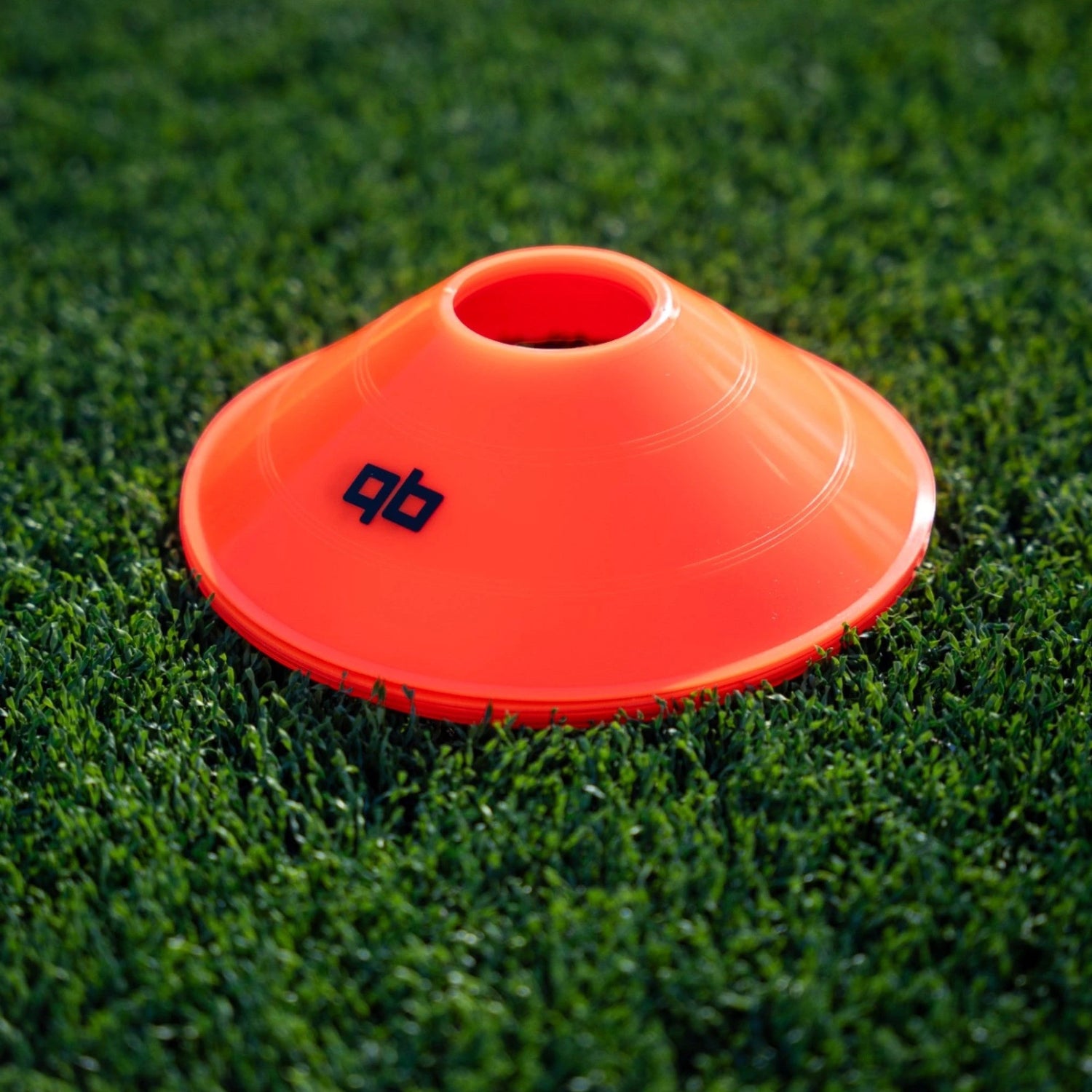 Field