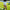 qb pocket passer white athletic training shorts close up for quarterbacks and qbs qbpp