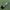 QB Pocket Passer Pair