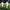 qbpp pocket passer pair two tall panels one mesh dividers for quarterbacks and qbs