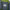 qbpp qb pocket passer mesh divider close up