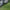 QB Pocket Passer Panel